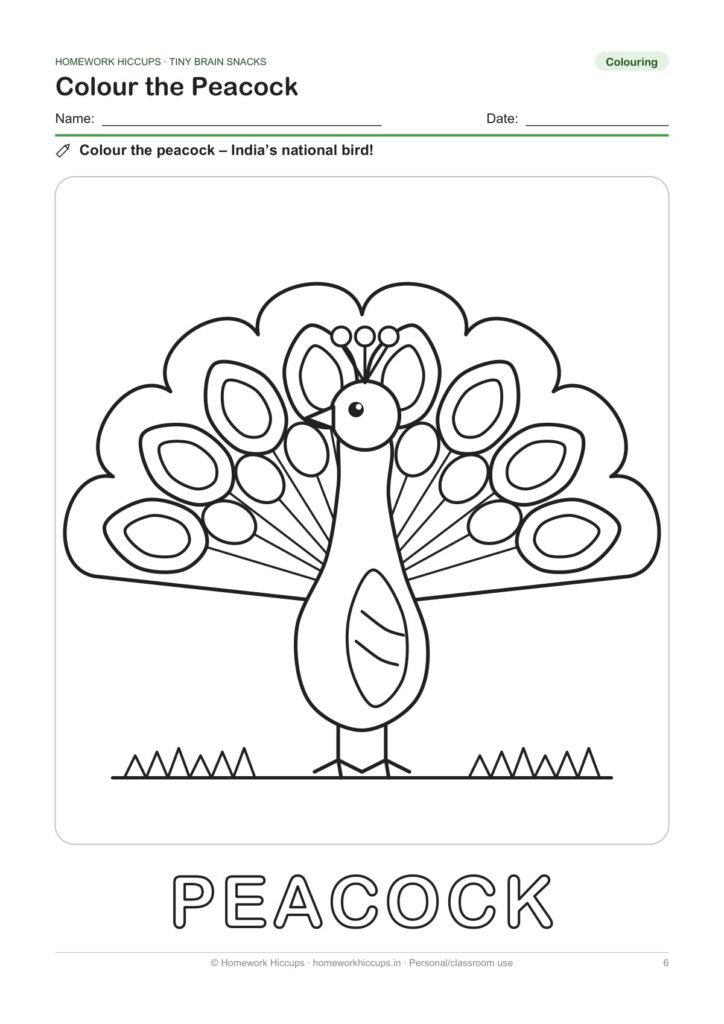 Peacock colouring page with bold outlines and the word PEACOCK in outline letters to colour