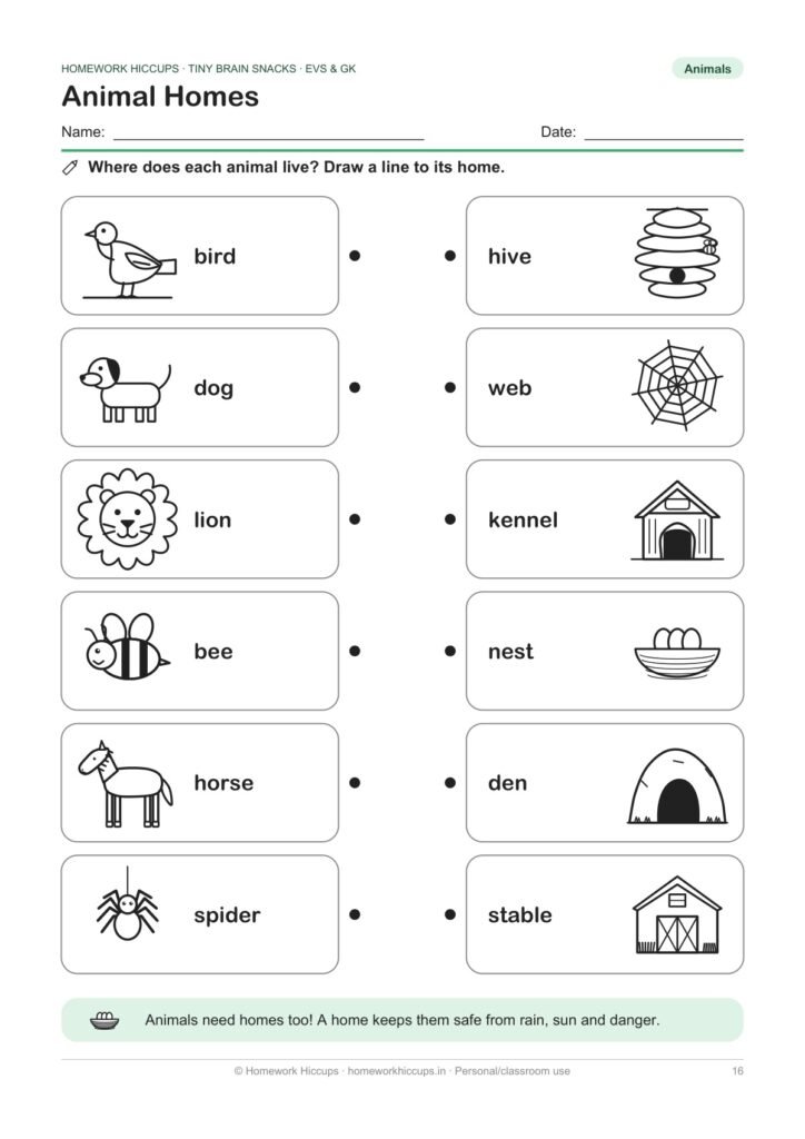EVS & GK Worksheets PDF for UKG & Class 1 – My Body, Plants, Animals, India & GK Quiz, Ages 5–7 (42 Pages)